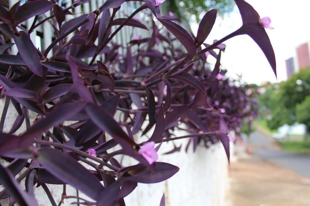 Pousada Oliveira Foz do Iguacu Exterior photo